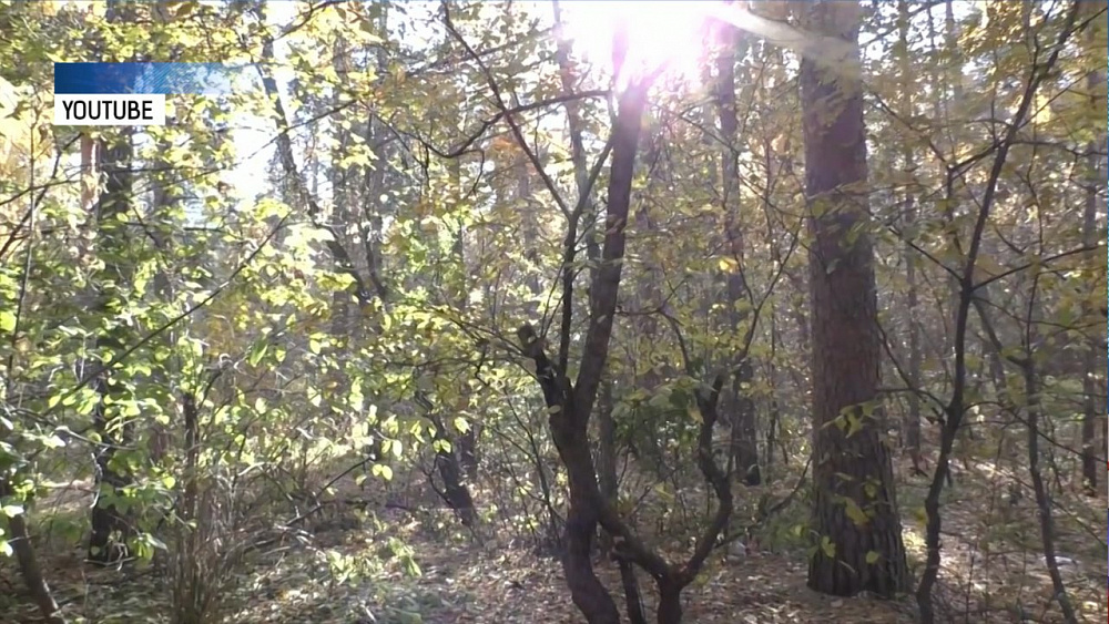 Завершился фестиваль экологических фильмов