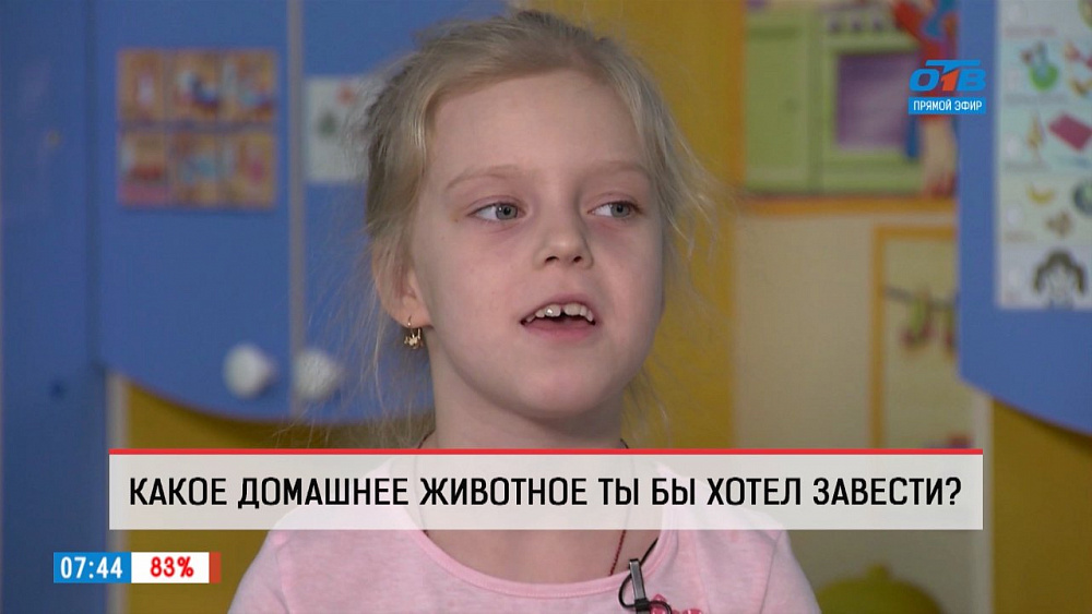 Дети рассказали, какое бы животное хотели завести дома