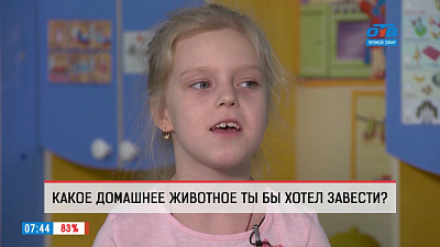 Дети рассказали, какое бы животное хотели завести дома