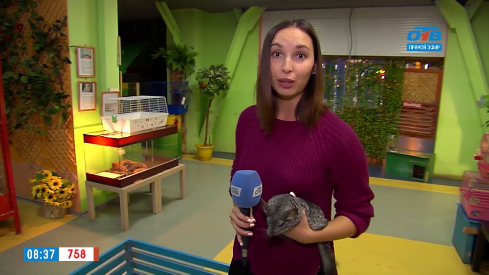 Наше УТРО на ОТВ – включение – контактный зоопарк