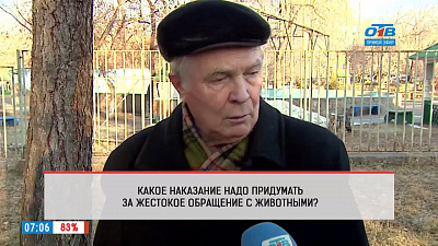 Наше УТРО на ОТВ – опрос – Какое наказание надо придумать за жестокое обращение с животными?
