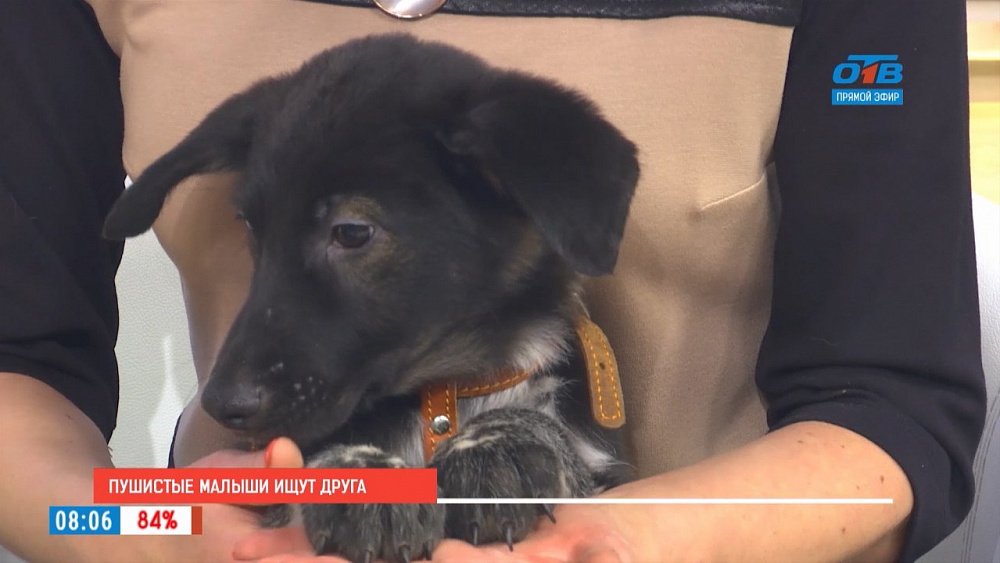 Наше УТРО на ОТВ – гость в студии Ольга Елчева