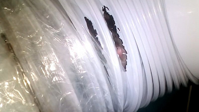 Крысы лезут в квартиры миасцев прямо из унитаза 