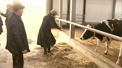 Жительнице Октябрьского района подарили корову