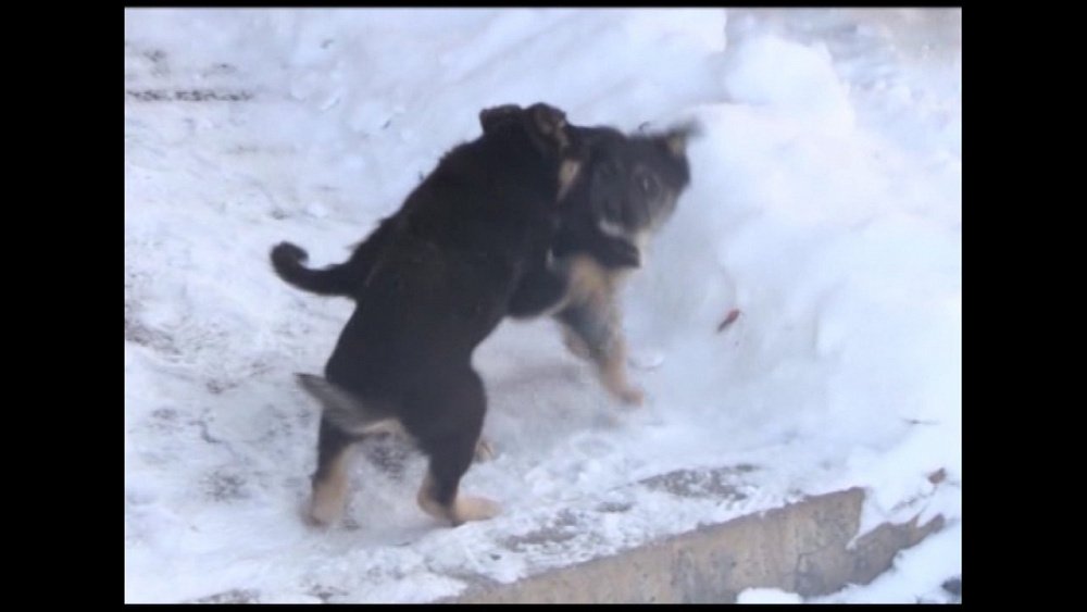 Время новостей. Миасс от 12.12.2017
