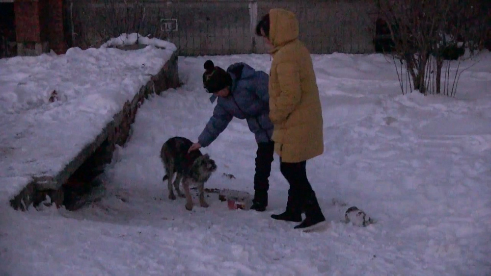 Происшествия дня от 13.12.2017