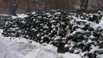 Стартовал елочный сезон