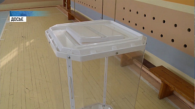 Общественные наблюдатели на выборах появятся в регионе