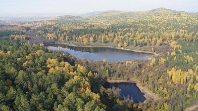 Хамитовские болота признали памятником природы