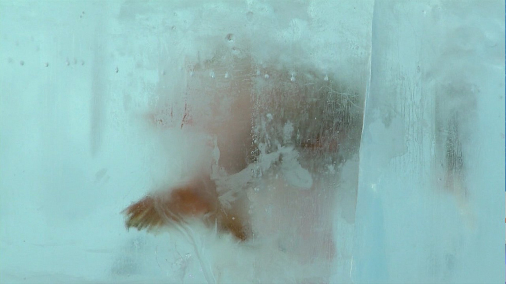 Ледовый городок с замерзшей рыбиной внутри