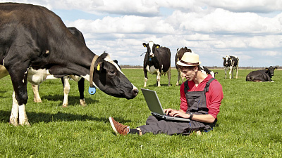 В России вводится обязательная электронная ветеринарная сертификация