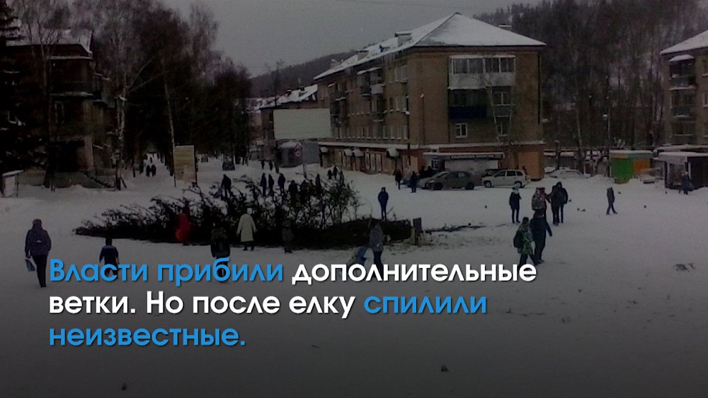 Рейтинг самых странных новогодних деревьев на Южном Урале