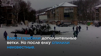 Рейтинг самых странных новогодних деревьев на Южном Урале