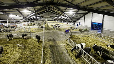 Более 90 процентов южноуральских сельхозкомпаний подключились к системе «Меркурий» 