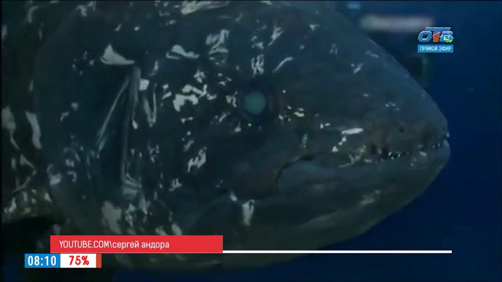 Наше УТРО на ОТВ – день в истории 22 декабря 2017 г.