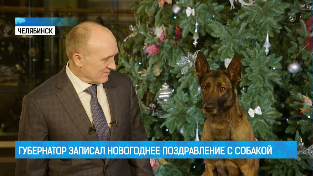 Губернатор записал новогоднее поздравление с собакой
