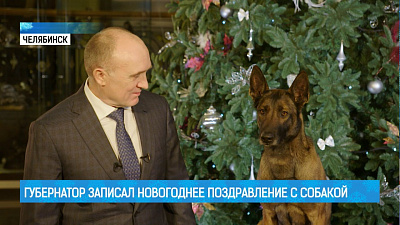 Губернатор записал новогоднее поздравление с собакой