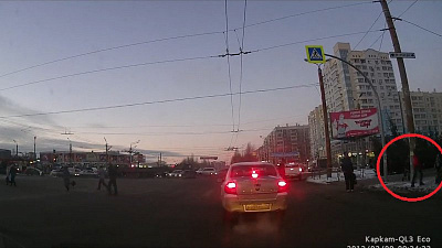 Прохожие утащили новогоднее дерево с ёлочного базара на «северке» Челябинска