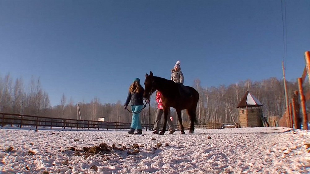 О здоровье 13.01.2018