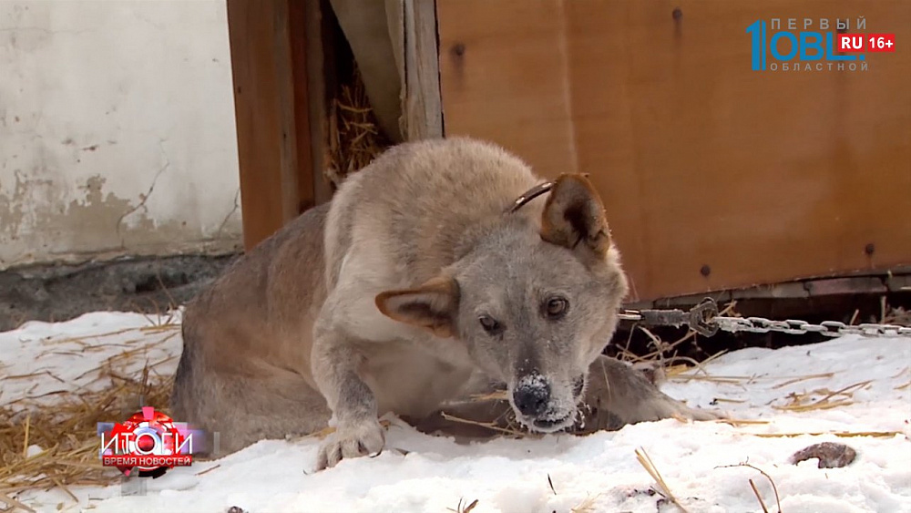 Итоги. Время новостей от 13.01.2018
