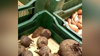 Живую мышь в овощах обнаружили в продуктовом магазине челябинцы 