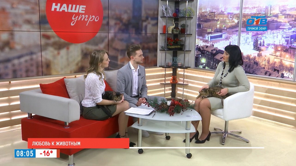 Наше УТРО на ОТВ – бенгальские мини леопарды