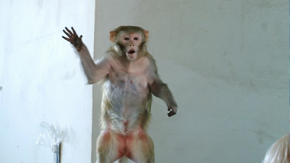 "Шоу воды, огня и света!" в Челябинске 