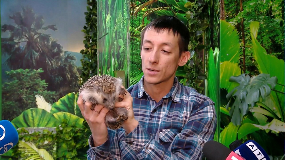 Затяжную зиму предсказал челябинский сурок