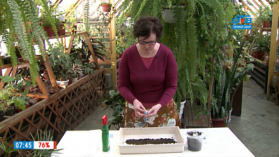 Наше УТРО на ОТВ – зеленая передача