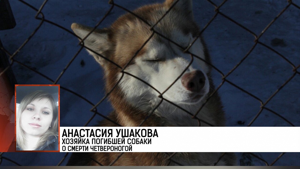 Происшествия дня 07.02.2018