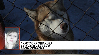 Происшествия дня 07.02.2018