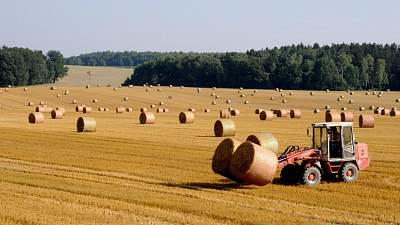 Южноуральские аграрии в марте получат 503 миллиона рублей