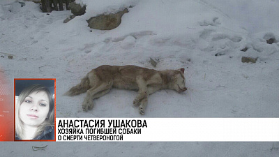 Происшествия недели 11.02.2018