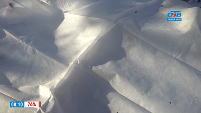 Наше УТРО на ОТВ – зеленая передача