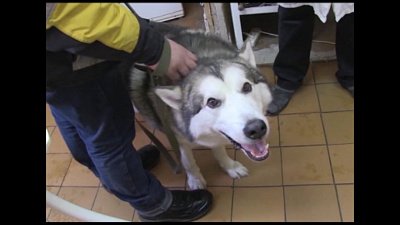 Время новостей. Миасс от 13.02.2018