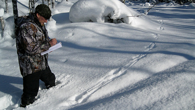 На Таганае стартовала звериная перепись