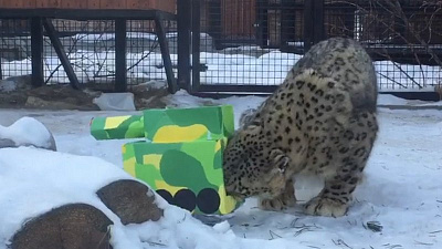 Танки вошли в челябинский зоопарк