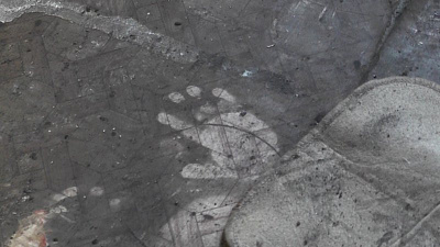 Пожар в селе Чесма унес жизни четверых человек