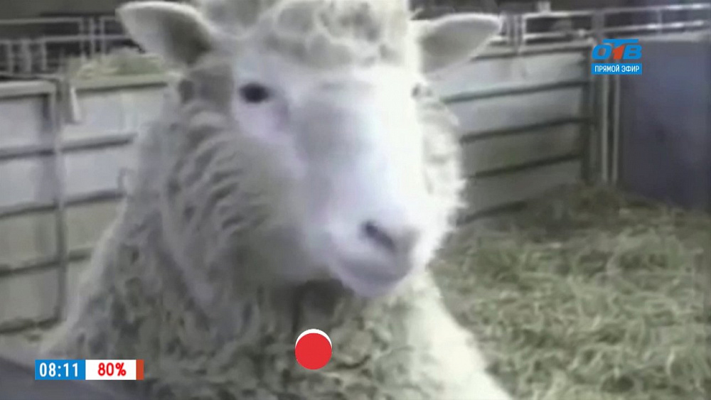 Наше УТРО на ОТВ – день в истории 27 февраля  2018 г.