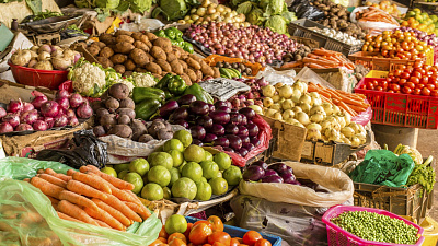 Расширить рынки сбыта и господдержку просят аграрии