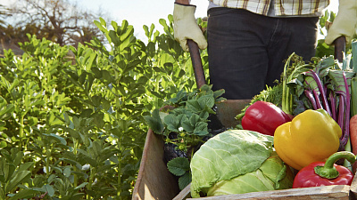 Накануне посевной аграрии Челябинской области получат  субсидии