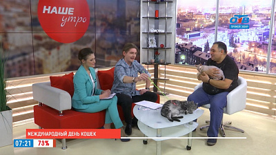 Наше УТРО на ОТВ – международный  день кошек