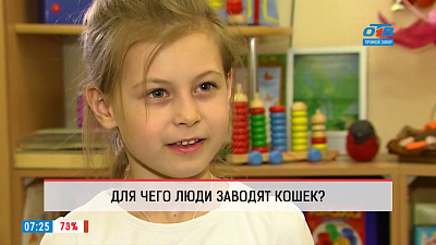 Дети рассказали, как ухаживать за кошками