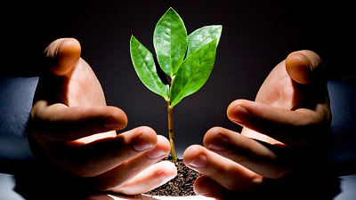 Забота об экологии принесет промышленникам налоговые льготы