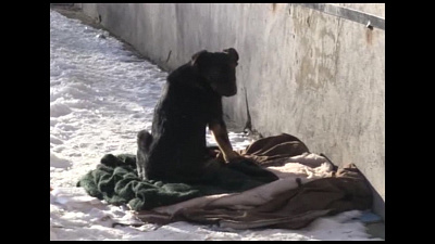 Время новостей. Миасс от 05.03.2018