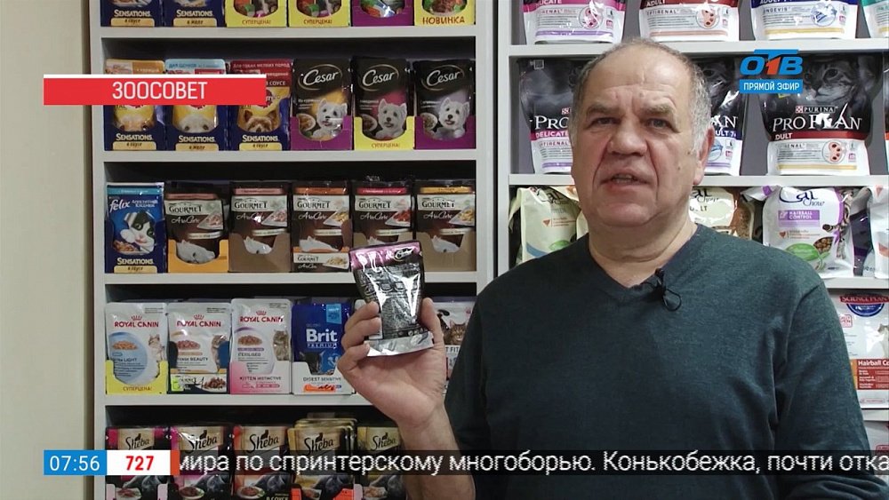Ветеринар Николай Калинин рассказывает, как подобрать корм для питомца