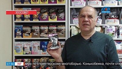 Ветеринар Николай Калинин рассказывает, как подобрать корм для питомца