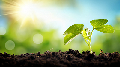 Южный Урал получит экологическую программу