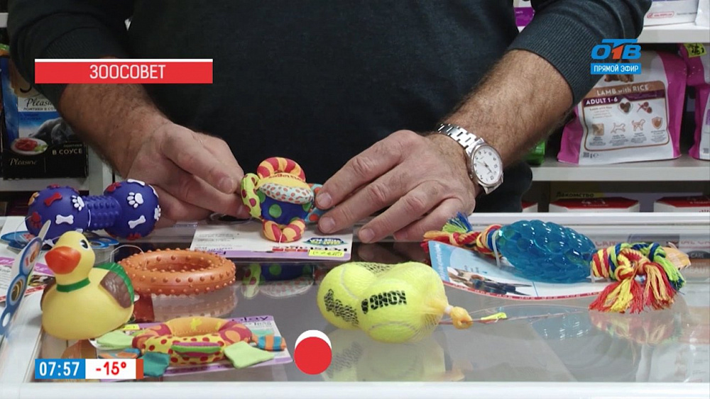 Ветеринар Николай Калинин советует, как выбрать игрушки для домашних животных