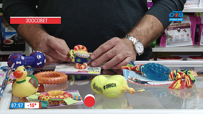 Ветеринар Николай Калинин советует, как выбрать игрушки для домашних животных